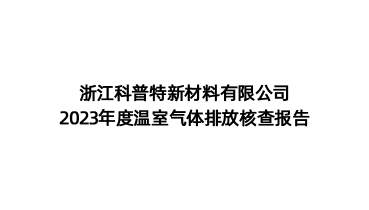 碳排放核查报告-浙江AG8九游服务新材料有限公司